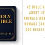 45 Bible Verses About Loving Animals More Than Humans (And What God Really Says)