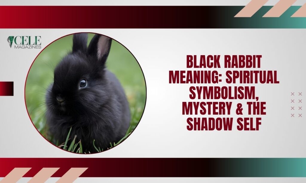 Black Rabbit Meaning: Spiritual Symbolism, Mystery & the Shadow Self
