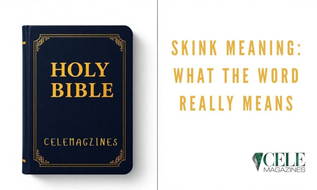 Skink Meaning: What the Word Really Means