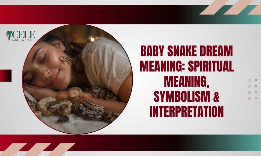 Baby Snake Dream Meaning: Spiritual Meaning, Symbolism & Interpretation