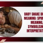 Baby Snake Dream Meaning: Spiritual Meaning, Symbolism & Interpretation