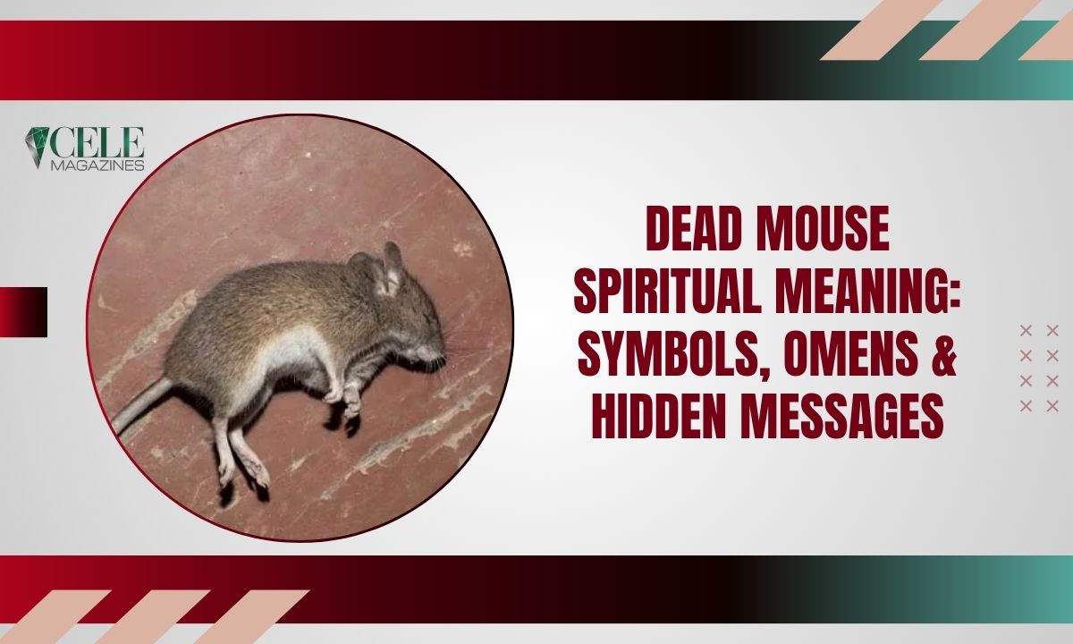 Dead Mouse Spiritual Meaning: Symbols, Omens & Hidden Messages