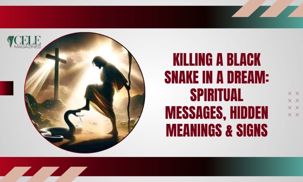 Killing a Black Snake in a Dream: Spiritual Messages, Hidden Meanings & Signs