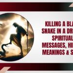 Killing a Black Snake in a Dream: Spiritual Messages, Hidden Meanings & Signs