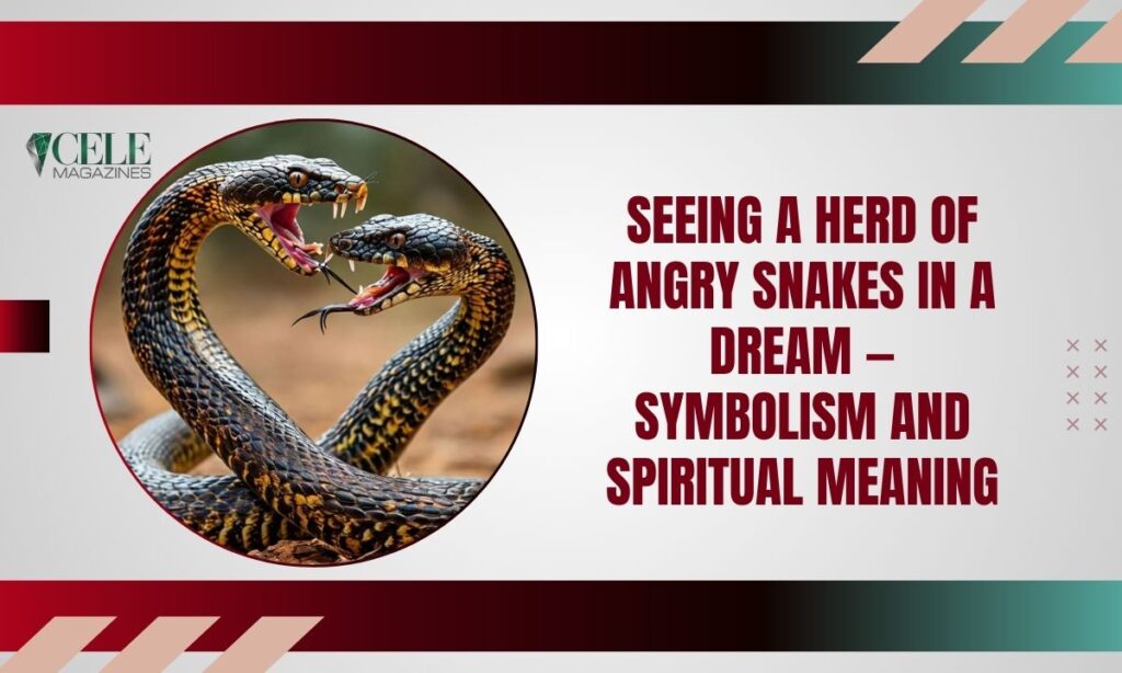 Seeing a Herd of Angry Snakes in a Dream — Symbolism and Spiritual Meaning