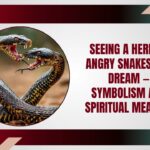 Seeing a Herd of Angry Snakes in a Dream — Symbolism and Spiritual Meaning