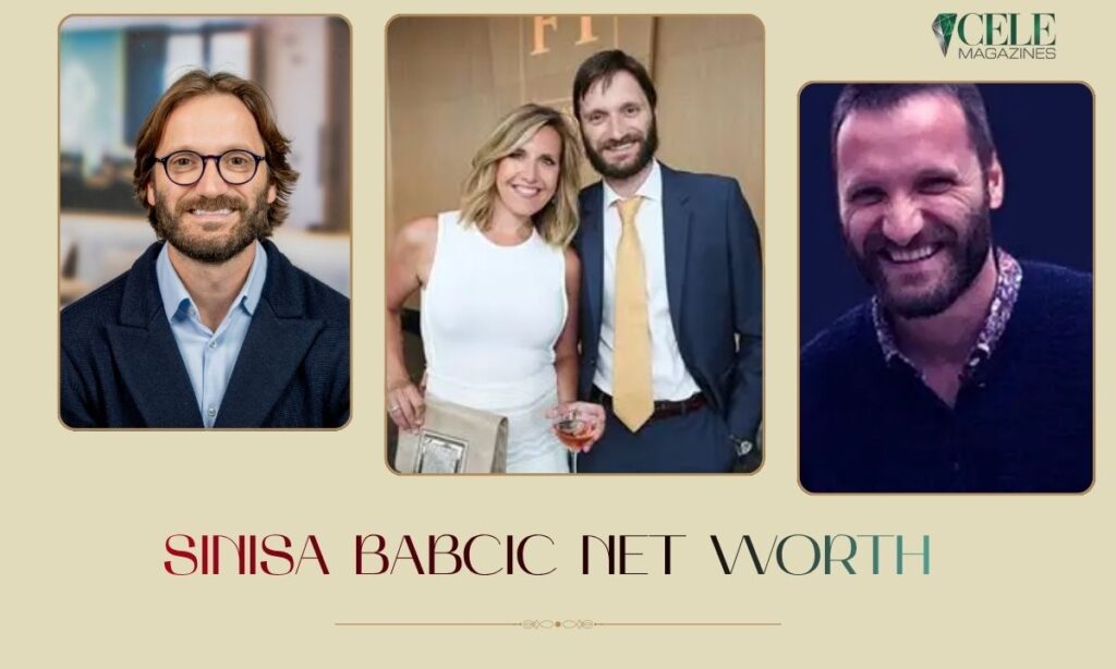 Sinisa Babcic Net Worth 2026: Career, Bio & EY Role