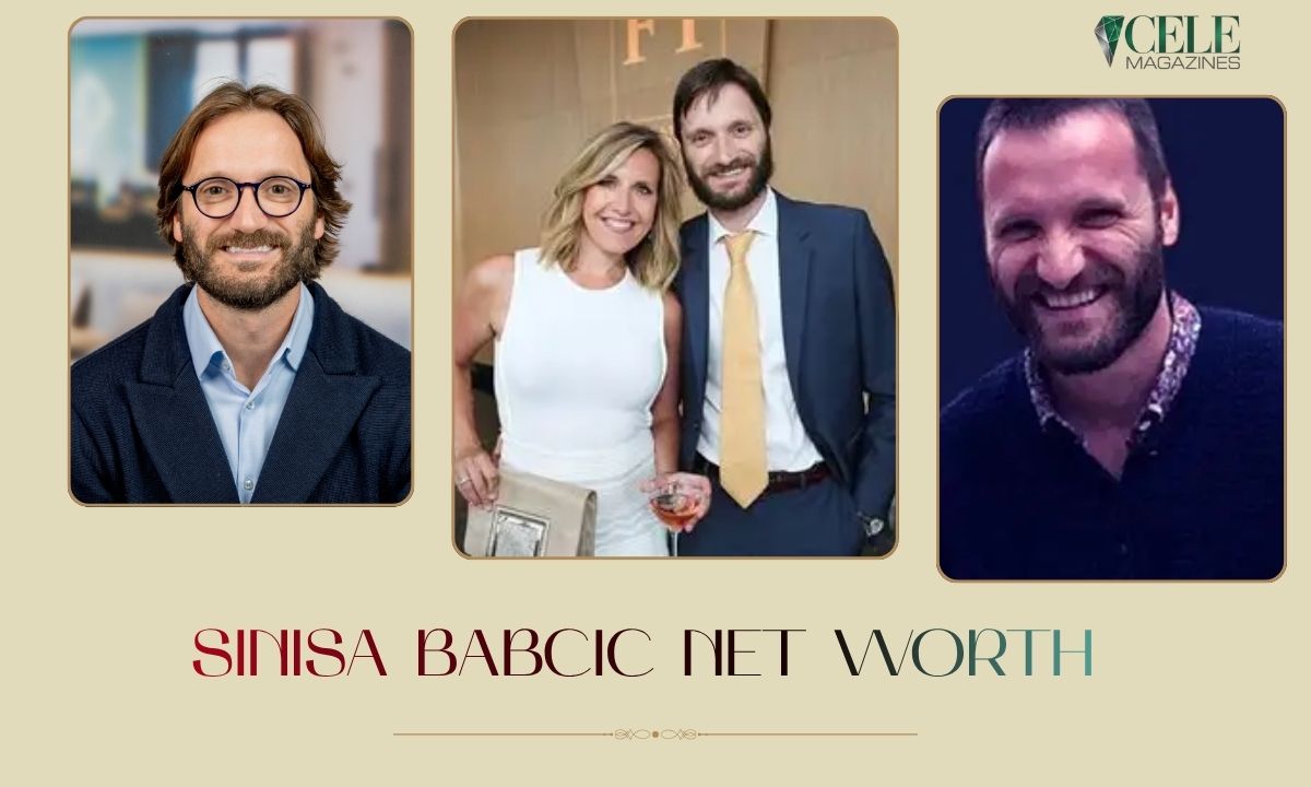 Sinisa Babcic Net Worth 2026: Career, Bio & EY Role