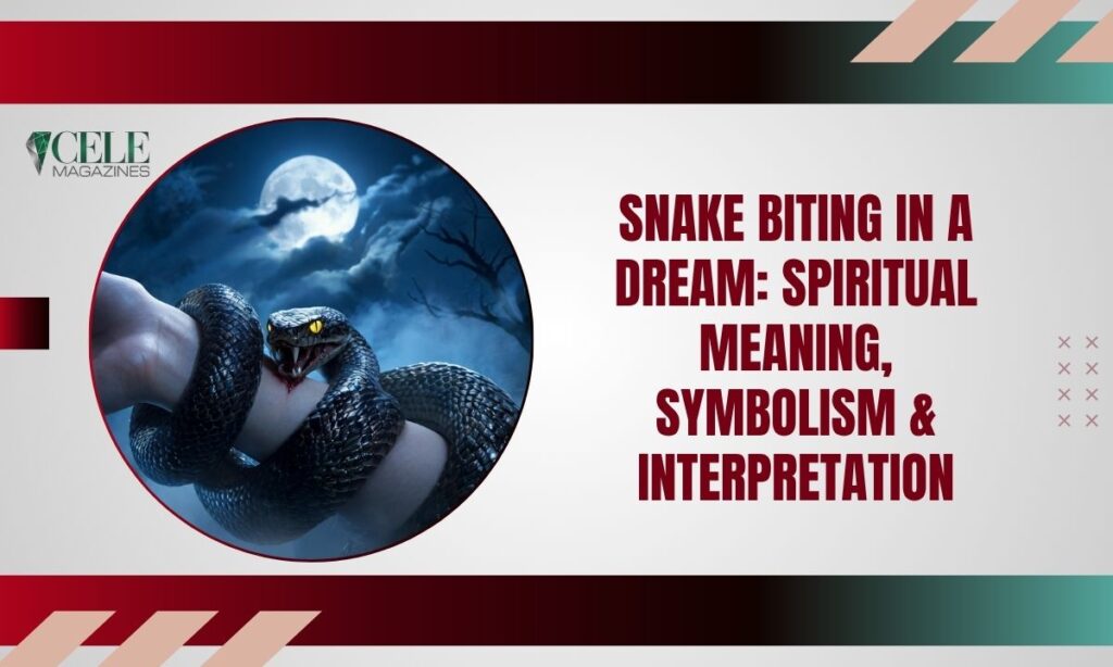 Snake Biting in a Dream: Spiritual Meaning, Symbolism & Interpretation