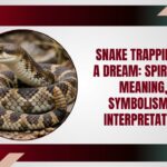 Snake Trapping in a Dream: Spiritual Meaning, Symbolism & Interpretation