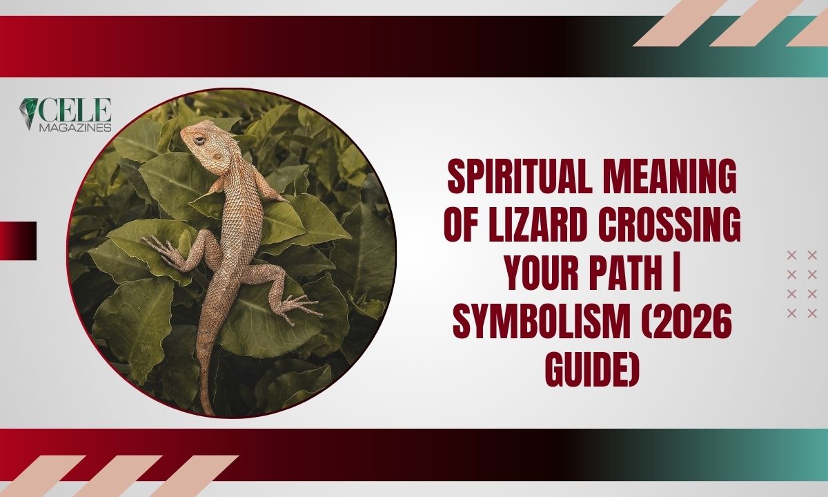 Spiritual Meaning of Lizard Crossing Your Path | Symbolism (2026 Guide)