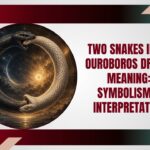 Two Snakes in an Ouroboros Dream Meaning: Symbolism & Interpretation Two Snakes in an Ouroboros Dream Meaning: Symbolism & Interpretation